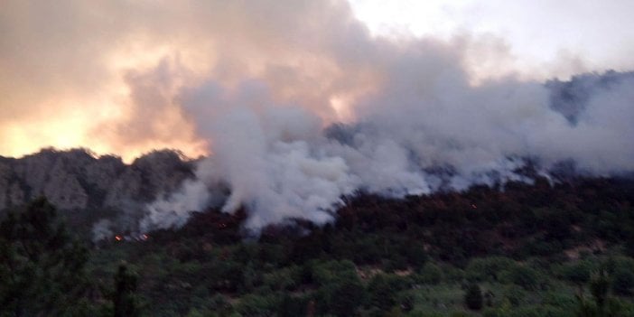 Göynük'te orman yangını. 7 hektarlık alan zarar gördü