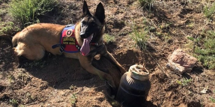 Bingöl Yayladere’de PKK’ya yönelik 2 el yapımı patlayıcı ele geçirildi