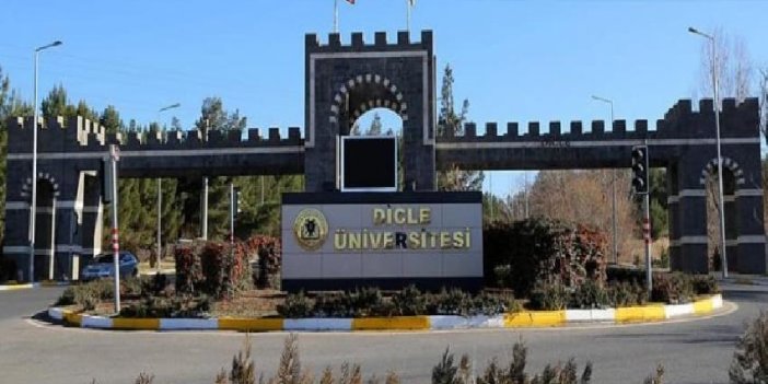 Dicle Üniversitesi 34 öğretim üyesi alacak