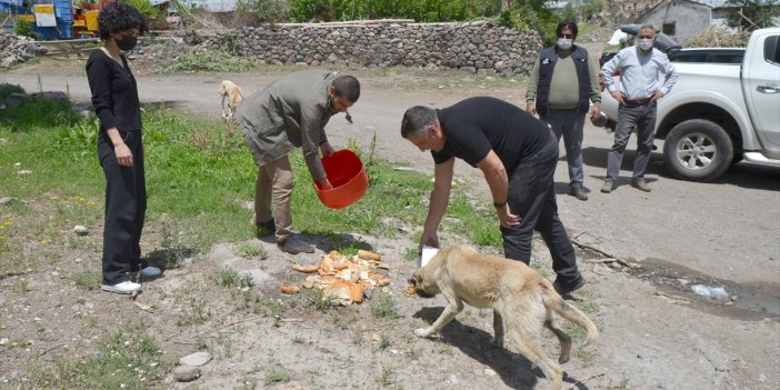 Kısıtlama günlerinde sokak hayvanları unutulmadı