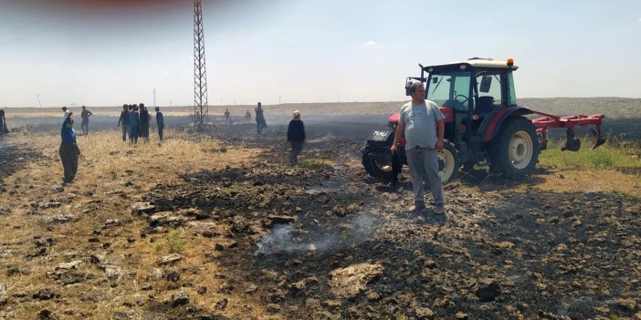 Mardin'de 50 dönüm alanda ekili buğday yandı