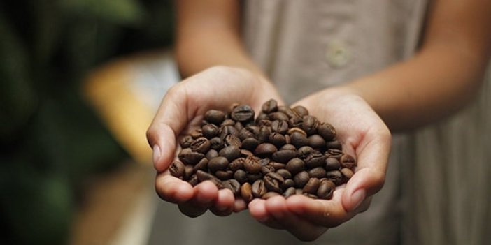 Kahve, 2016'dan bu yana en yüksek seviyeyi gördü