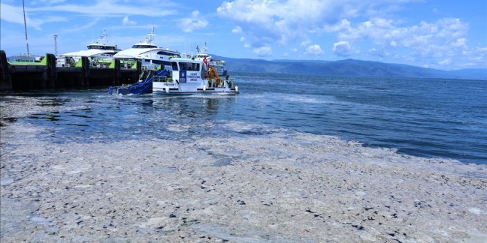 Marmara Denizi'nin suçlusu bulundu: İklim değişikliği. Bu, yüz büyük yalandan biri