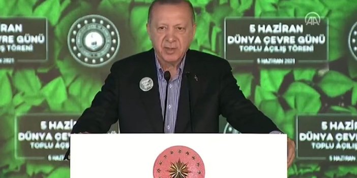 Cumhurbaşkanı Erdoğan: İstanbul'da görevi devraldığımda ağaç yoktu