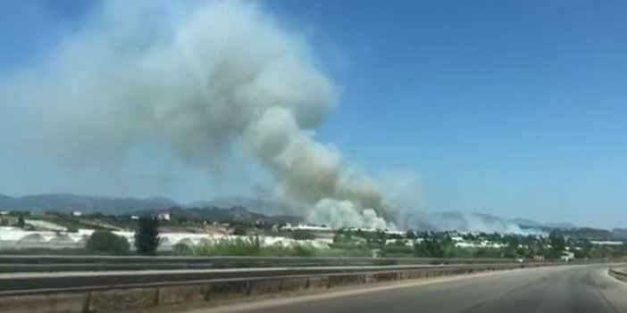Antalya’nın Serik ilçesinde orman yangını