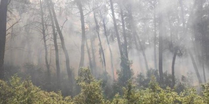 Karatepe Milli Parkı'nda orman yangını