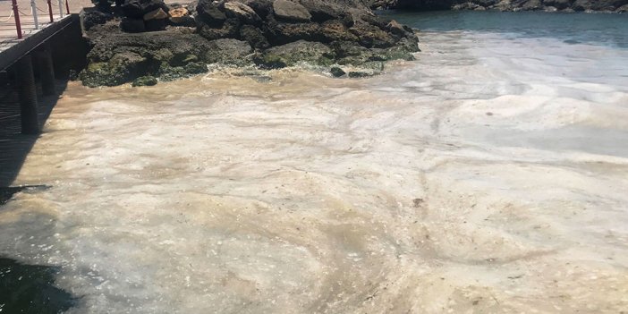 Çanakkale'de deniz salyası felaketi devam ediyor