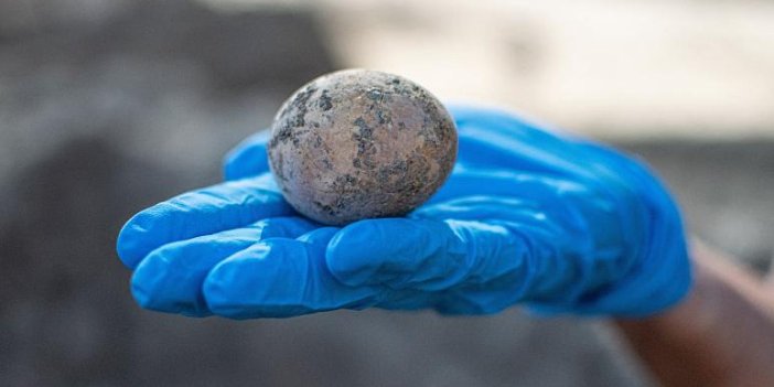 İsrailli arkeologlar, Abbasi döneminden kalma bin yıllık bir tavuk yumurtası buldu