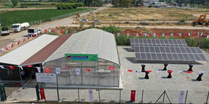 Adana'da güneş enerjisi ile çalışan mevye sebze kurutma tesisi hizmete açıldı