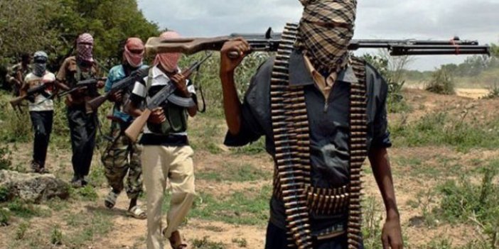 Nijerya'da Boko Haram'ın kaçırdığı 10 kişi serbest bırakıldı