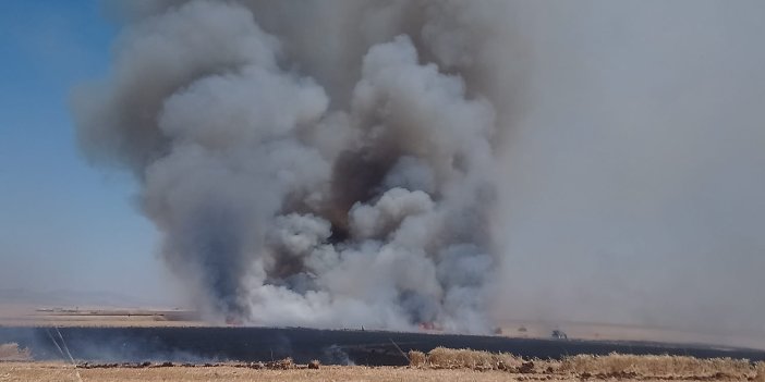Diyarbakır'da buğday ekili alanda yangın