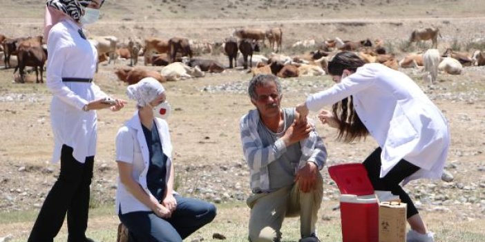 Erzurum'da çobanlara yaylada korona aşısı yapıldı