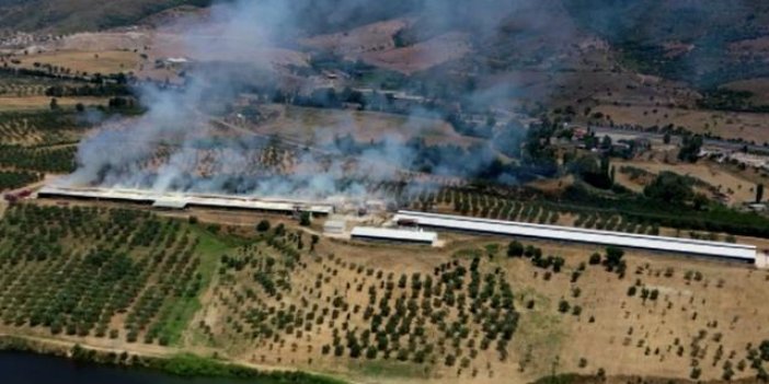 İzmir'de saman deposunda yangın