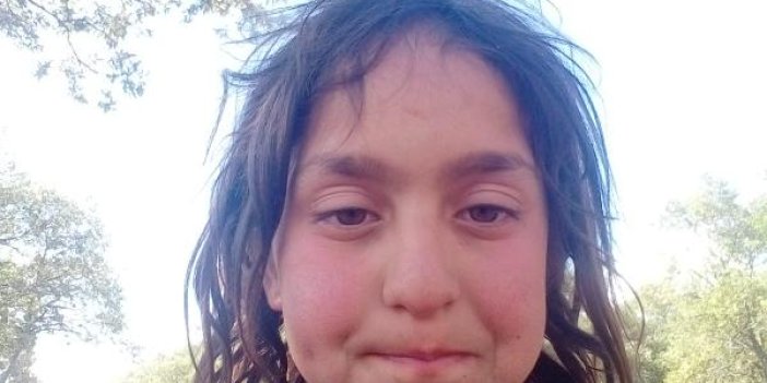 Yaylada kaybolan 11 yaşındaki Kıymet'ten haber alınamıyor
