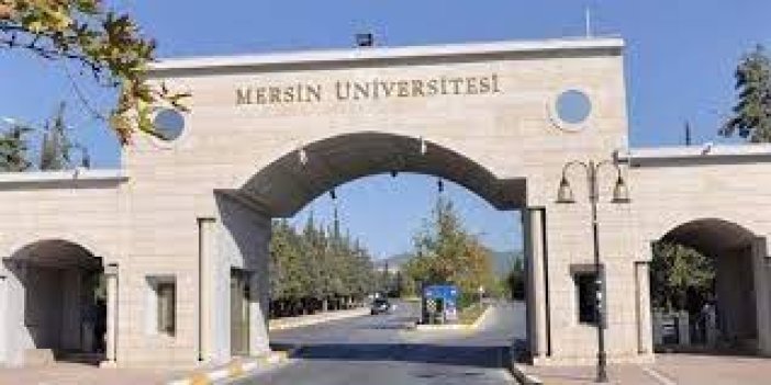 Mersin Üniversitesi 20 öğretim üyesi alacak