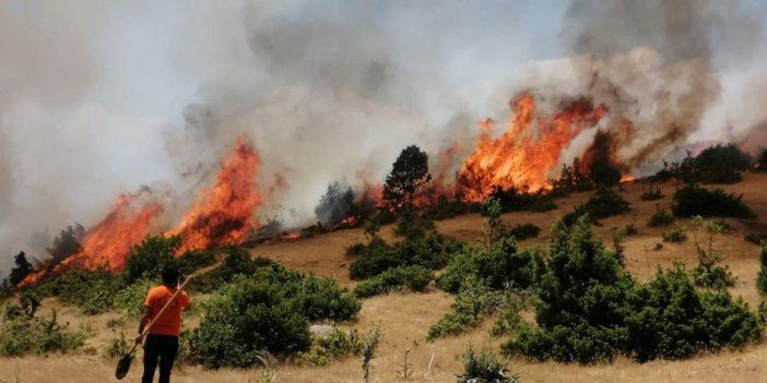 Bingöl'de orman yangını: 2 hafta arayla aynı yer alev alev