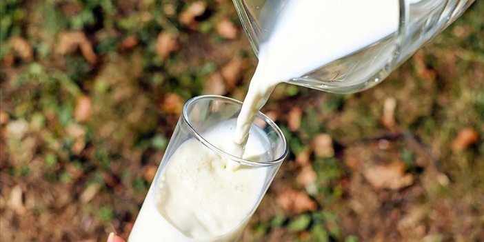Çiğ süt desteği ödemelerinde esaslar belli oldu