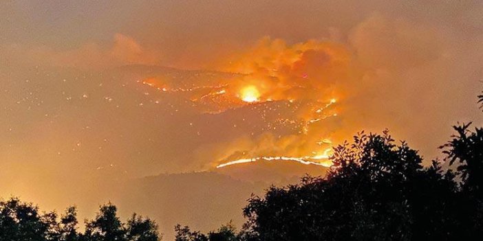 Bingöl'de 3 gün önce çıkan orman yangını devam ediyor