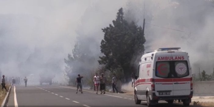 Muğla'da yol kenarında orman yangını