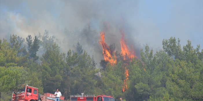 Manisa'da iki ilçede orman yangını