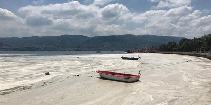 Bakan Kurum'dan müsilaj açıklaması