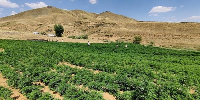 PKK’nın finans kaynağına büyük darbe