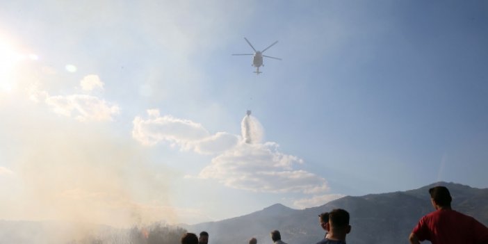 Aydın'da orman yangını: 100 dönüm alan kül oldu