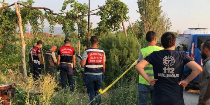 Aydın'da elektrik akımına kapılan çiftçi öldü