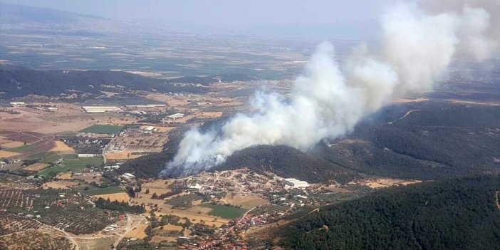  İzmir'de orman yangını