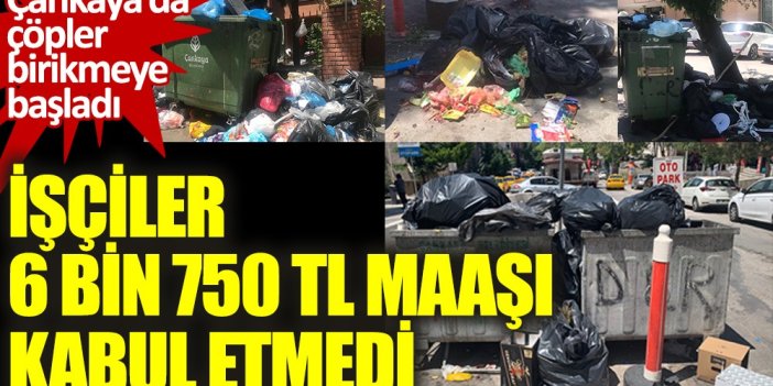 İşçiler, 6 bin 750 TL maaşı kabul etmedi! Çankaya'da çöpler birikmeye başladı