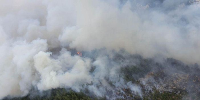 Denizli'de orman yangını