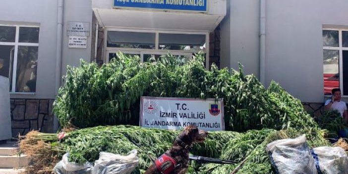 İzmir'de dronlu uyuşturucu operasyonu
