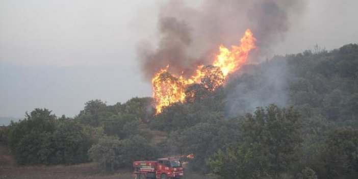 Manisa'daki orman yangınında büyük şüphe
