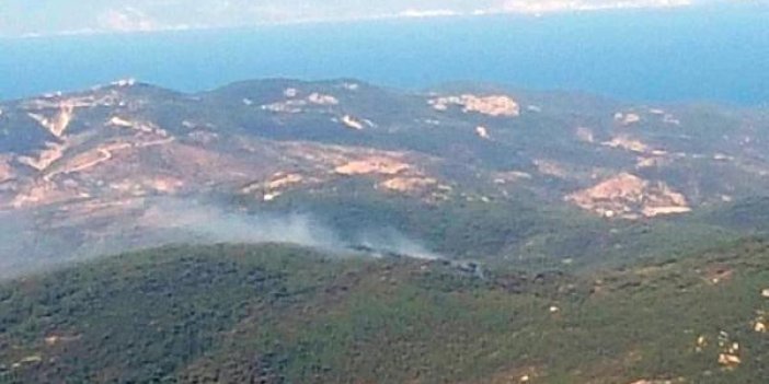 Foça'da orman ve makilik alanda yangını