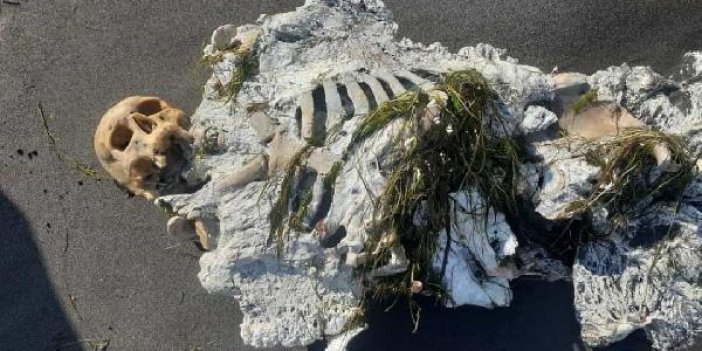 Samsun'da iskelet sahile vurdu