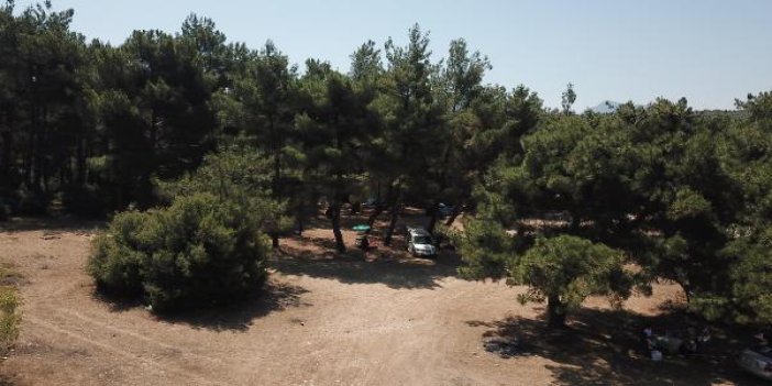 Ormanda piknik, mangal ve yürüyüş yapmak yasaklandı