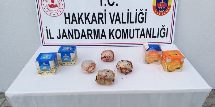 Hakkari'de kargo aracında 2 kilo eroin ele geçirildi