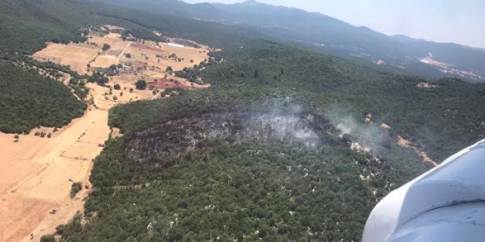 Kaş'ta orman yangınında. 3 hektar alan zarar gördü