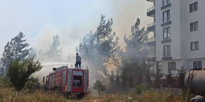 Osmaniye'deki orman yangınında 4 gözaltı
