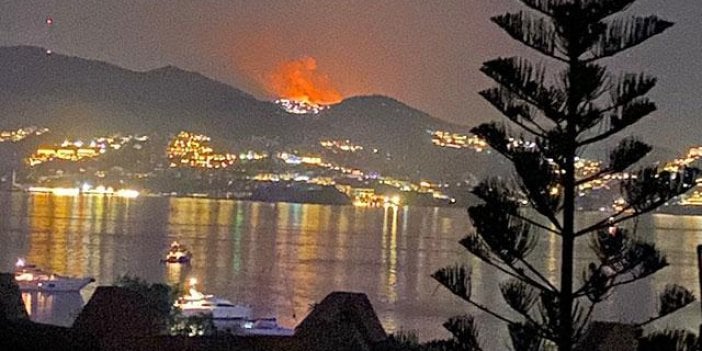 Bodrum'da makilik ve otluk alanda yangın