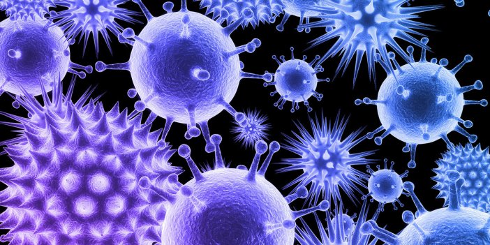 İnsanlık tarafından bilinmeyen 28 virüs tespit edildi