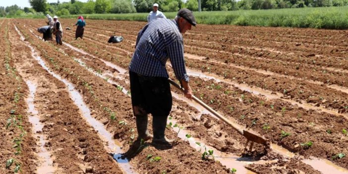 AKP iktidarında büyüyen tarım değil çiftçinin derdi
