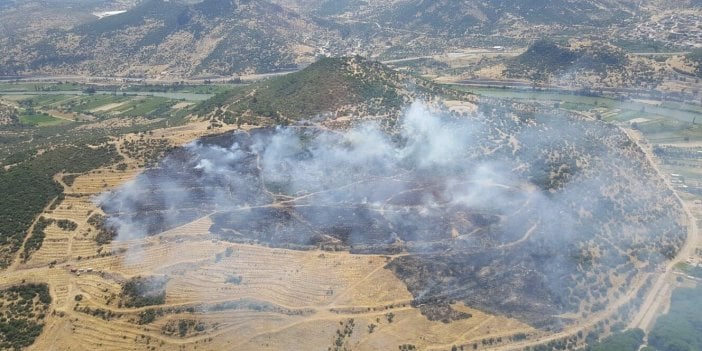 İzmir'de makilik alanda yangın