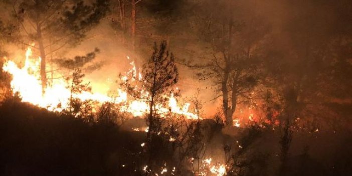 Çanakkale'de yangın: 15 dönümlük alan kül oldu