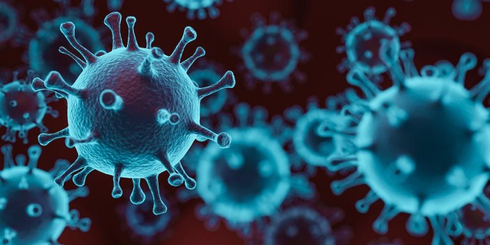 Korona virüsün yeni mutasyonu tespit edildi