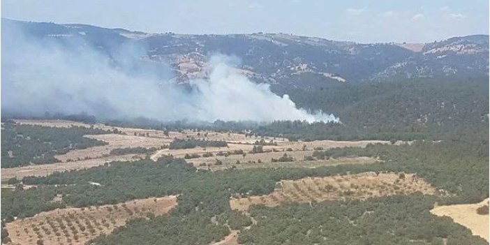 Soma'da ormanlık alanda yangın