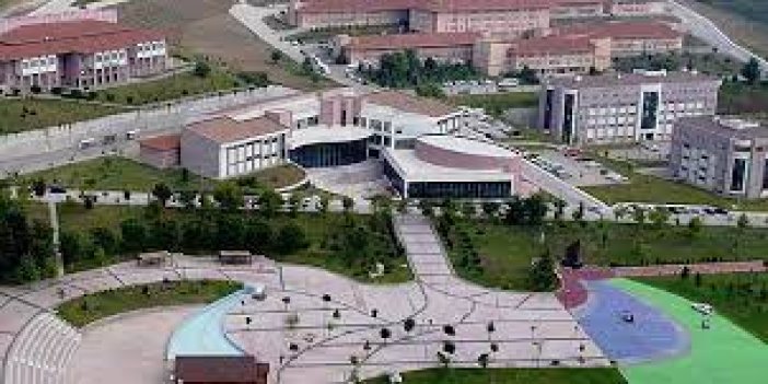 Düzce Üniversitesi 6 sözleşmeli hemşire alacak