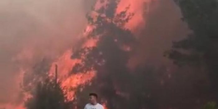 Adana'da Sarıçam ve Kozan'da orman yangını