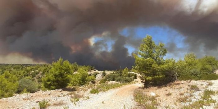 Manavgat'ta yanıyor. 3 mahalle ve hastane tahliye edildi