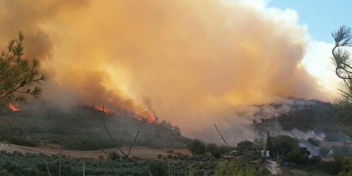 Bir orman yangını da Osmaniye'de